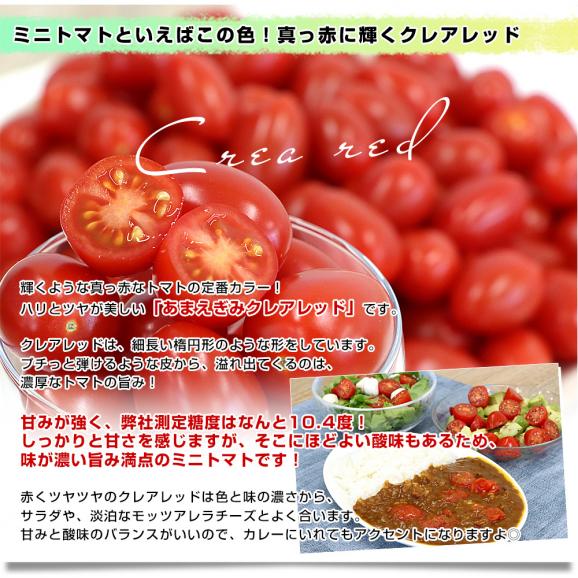 愛知県 JA豊橋  選べるあまえぎみクレアミニトマト 各種約1キロ（レッド、イエロー、オレンジ、グリーン） 送料無料 ミニトマト とまと 高糖度ミニトマト 甘恵黄味05