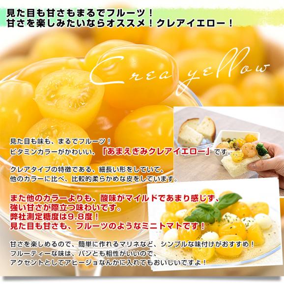 愛知県 JA豊橋  選べるあまえぎみクレアミニトマト 各種約1キロ（レッド、イエロー、オレンジ、グリーン） 送料無料 ミニトマト とまと 高糖度ミニトマト 甘恵黄味06