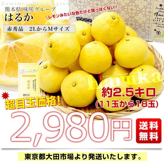 熊本県味咲グループ はるか 赤秀品 2LからMサイズ 約2.5キロ（11玉から18玉前後）送料無料 柑橘03