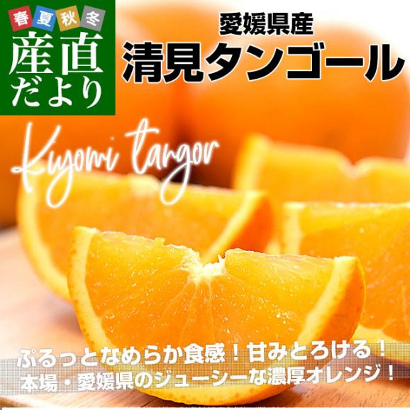 愛媛県産 にしうわフーズ 清見タンゴール ご家庭用 2LからMサイズ 約3キロ（12玉から20玉前後）送料無料 柑橘 オレンジ02