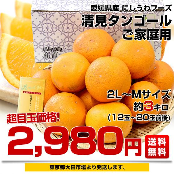 愛媛県産 にしうわフーズ 清見タンゴール ご家庭用 2LからMサイズ 約3キロ（12玉から20玉前後）送料無料 柑橘 オレンジ03