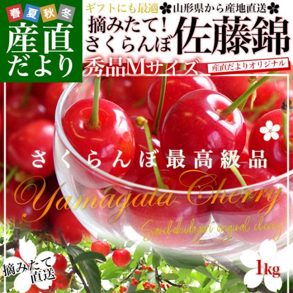 山形県より産地直送 さくらんぼ佐藤錦 Mサイズ　秀品1キロ (500g×2P入) 送料無料 クール便　サクランボ　桜桃02
