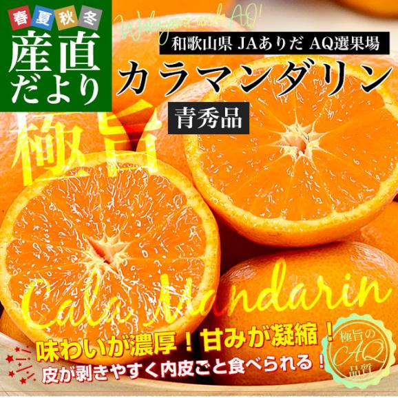 和歌山県 JAありだAQ選果場 カラマンダリン 青秀品 約2.5キロ 2LからMサイズ (15玉から23玉前後) 送料無料 柑橘 みかん02