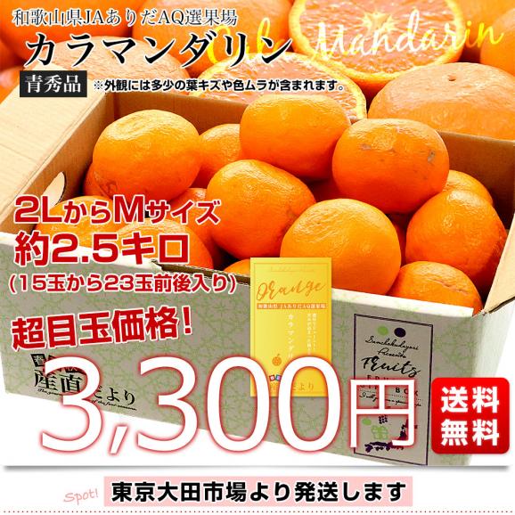 和歌山県 JAありだAQ選果場 カラマンダリン 青秀品 約2.5キロ 2LからMサイズ (15玉から23玉前後) 送料無料 柑橘 みかん03