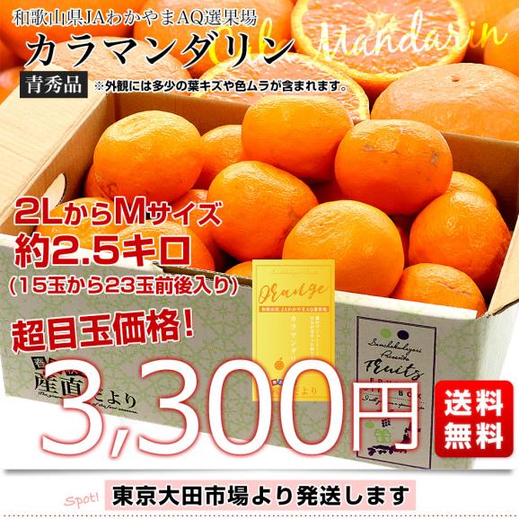 和歌山県 JAわかやま　AQ選果場 カラマンダリン 青秀品 約2.5キロ 2LからMサイズ (15玉から23玉前後) 送料無料 柑橘 みかん03