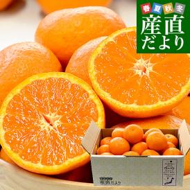 和歌山県 JAありだAQ選果場 カラマンダリン TOPグレード赤秀品 約2.5キロ 2LからMサイズ (15玉から23玉前後) 送料無料 柑橘 みかん
