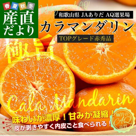和歌山県 JAありだAQ選果場 カラマンダリン TOPグレード赤秀品 約2.5キロ 2LからMサイズ (15玉から23玉前後) 送料無料 柑橘 みかん02