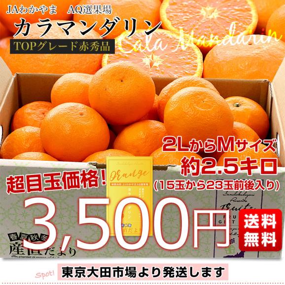 和歌山県 JAわかやまAQ選果場 カラマンダリン TOPグレード赤秀品 約2.5キロ 2LからMサイズ （15玉から23玉前後） 送料無料 柑橘 みかん03