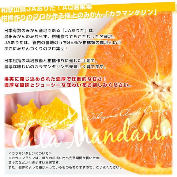 和歌山県 JAありだAQ選果場 カラマンダリン TOPグレード赤秀品 約2.5キロ 2LからMサイズ (15玉から23玉前後) 送料無料 柑橘 みかん05