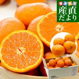 和歌山県 JAありだAQ選果場 カラマンダリン ご家庭用 約2.5キロ 2LからMサイズ (15玉から23玉前後) 送料無料 柑橘 みかん