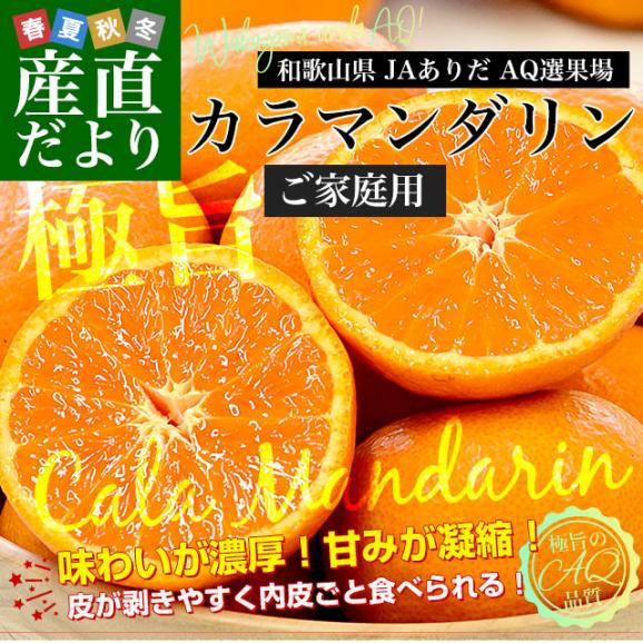 和歌山県 JAありだAQ選果場 カラマンダリン ご家庭用 約2.5キロ 2LからMサイズ (15玉から23玉前後) 送料無料 柑橘 みかん02