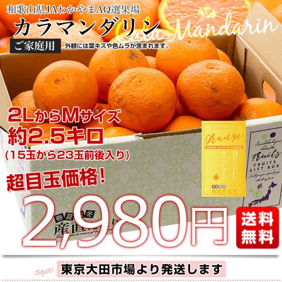 和歌山県 JAわかやまAQ選果場 カラマンダリン ご家庭用 約2.5キロ 2LからMサイズ (15玉から23玉前後) 送料無料 柑橘 みかん03