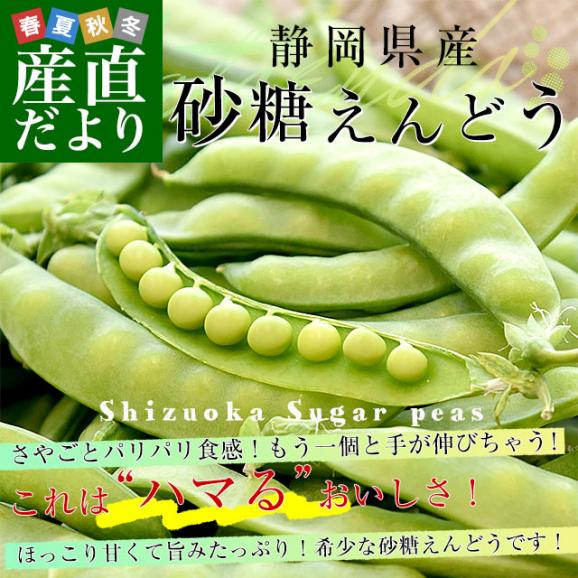 静岡県産 砂糖えんどう 約500g A品 2LからLサイズ 送料無料 さやえんどう えんどう豆 02