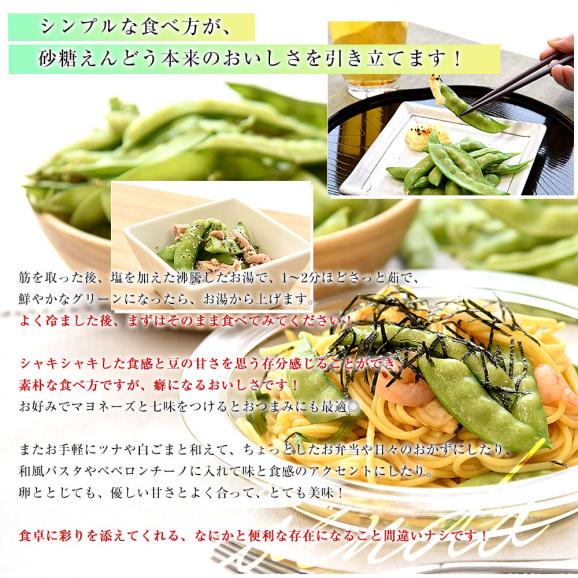 静岡県産 砂糖えんどう 約500g A品 2LからLサイズ 送料無料 さやえんどう えんどう豆 05