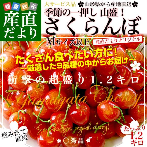 山形県より産地直送　品種おまかせ さくらんぼ 超盛1.2キロ ○秀品 Mサイズ以上 300g×4パック 合計1.2キロ　桜桃 送料無料 クール便　サクランボ02