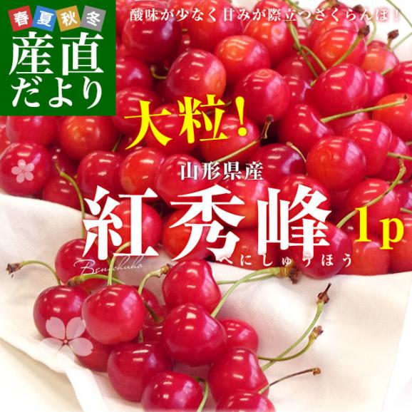 山形県より産地直送 さくらんぼ「紅秀峰」秀品　2Lサイズ　約500g 送料無料 クール便　サクランボ　桜桃02