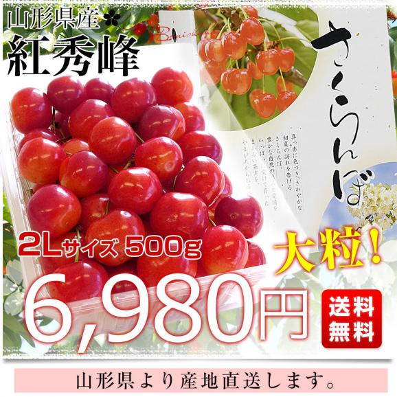 山形県より産地直送 さくらんぼ「紅秀峰」秀品　2Lサイズ　約500g 送料無料 クール便　サクランボ　桜桃03