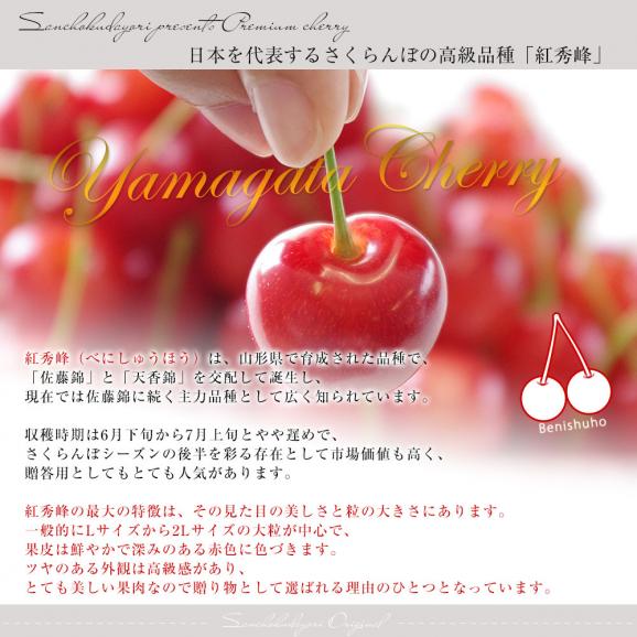山形県より産地直送 さくらんぼ「紅秀峰」秀品　2Lサイズ　約500g 送料無料 クール便　サクランボ　桜桃05