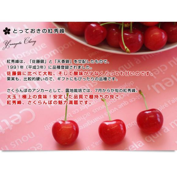 山形県より産地直送 さくらんぼ「紅秀峰」秀品　2Lサイズ　約500g 送料無料 クール便　サクランボ　桜桃05
