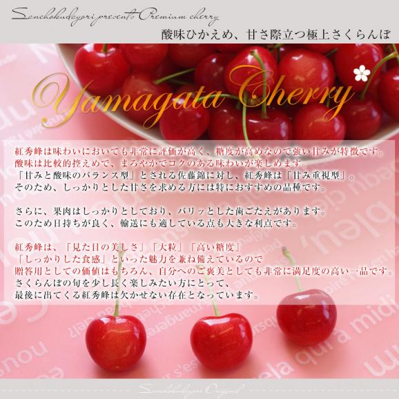 山形県より産地直送 さくらんぼ「紅秀峰」秀品　2Lサイズ　約500g 送料無料 クール便　サクランボ　桜桃06