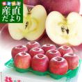 青森県より産地直送 高木商店 マルタカブランド サンふじりんご CA貯蔵品 味優先の理由あり 約3キロ (9玉から11玉入) 林檎 リンゴ 津軽 弘前 送料無料