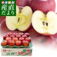 青森県より産地直送 高木商店 マルタカブランド 高木のサンふじCA貯蔵品 味優先の理由あり 5キロ (16玉から20玉入) 送料無料 林檎 リンゴ 津軽 弘前