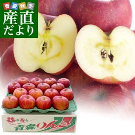 青森県より産地直送 高木商店 マルタカブランド 高木のサンふじCA貯蔵品 味優先の理由あり 5キロ (16玉から20玉入) 送料無料 林檎 リンゴ 津軽 弘前