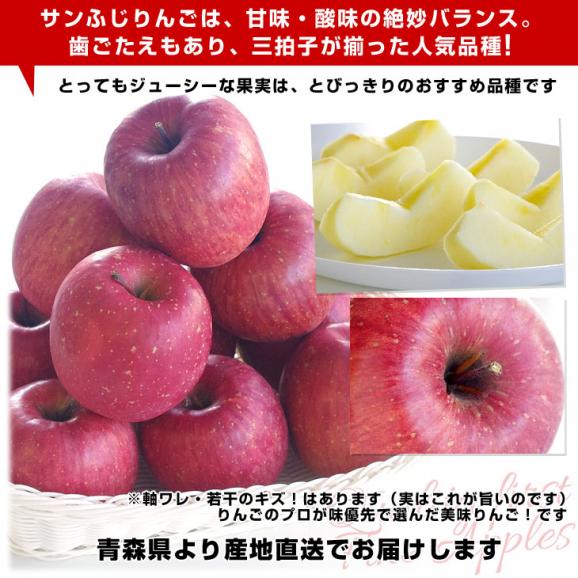青森県より産地直送 高木商店 マルタカブランド 高木のサンふじCA貯蔵品 味優先の理由あり 5キロ (16玉から20玉入) 送料無料 林檎 リンゴ 津軽 弘前04