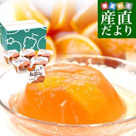 愛媛県産 JAえひめ中央 紅まどんなゼリー 6個入り（245g×6個）送料無料 柑橘 紅マドンナ 生菓子 オレンジゼリー みかんゼリー