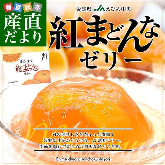 愛媛県産 JAえひめ中央 紅まどんなゼリー 6個入り（245g×6個）送料無料 柑橘 紅マドンナ 生菓子 オレンジゼリー みかんゼリー02