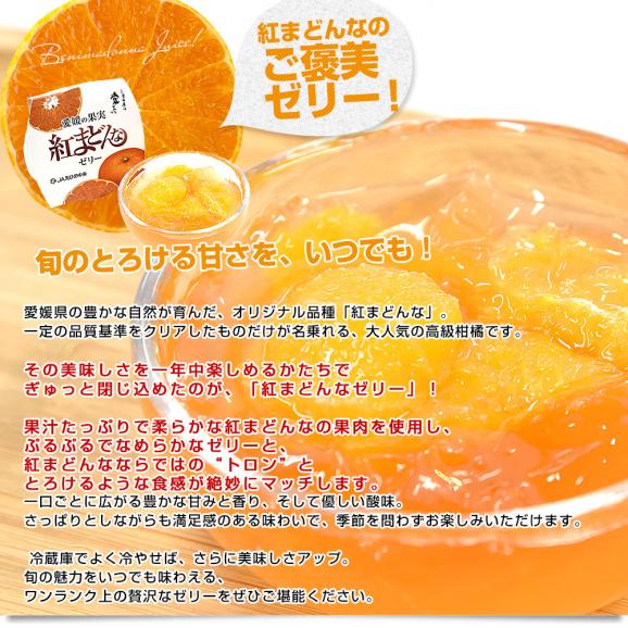 愛媛県産 JAえひめ中央 紅まどんなゼリー 6個入り（245g×6個）送料無料 柑橘 紅マドンナ 生菓子 オレンジゼリー みかんゼリー04