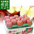 青森県より産地直送 高木りんご商店 サンふじ　CA貯蔵品　秀A 3キロ（9玉から11玉） 送料無料 林檎 さんふじ さんフジ りんご リンゴ ※クール便