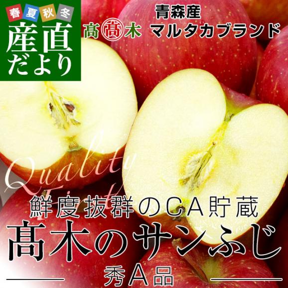 青森県より産地直送 高木りんご商店 サンふじ　CA貯蔵品　秀A 3キロ（9玉から11玉） 送料無料 林檎 さんふじ さんフジ りんご リンゴ ※クール便02