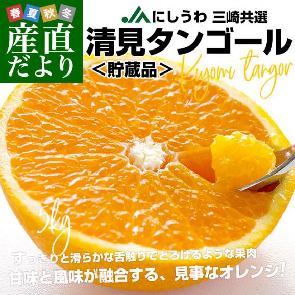 愛媛県産 JAにしうわ三崎共選 清見タンゴール（貯蔵品）秀品 ２LからLサイズ 約5キロ (22玉から32玉前後) 送料無料 柑橘 オレンジ 西宇和 きよみおれんじ 八幡浜 みさき02