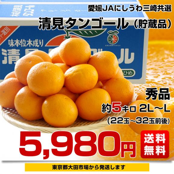愛媛県産 JAにしうわ三崎共選 清見タンゴール（貯蔵品）秀品 ２LからLサイズ 約5キロ (22玉から32玉前後) 送料無料 柑橘 オレンジ 西宇和 きよみおれんじ 八幡浜 みさき03