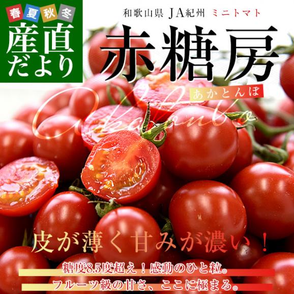 和歌山県 JA紀州 ミニトマト 赤糖房（あかとんぼ）秀品 約800g（約160g×5パック） Lサイズ 送料無料 みにとまと トマト とまと 市場発送02