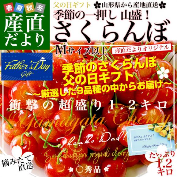 父の日ギフト 山形県より産地直送　品種おまかせ さくらんぼ 超盛1.2キロ ○秀品 Mサイズ以上 300g×4パック 合計1.2キロ　桜桃　送料無料 クール便　サクランボ　02