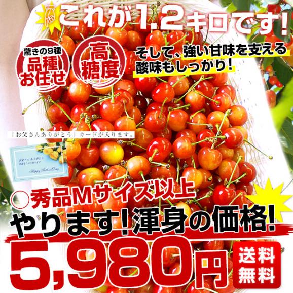 父の日ギフト 山形県より産地直送　品種おまかせ さくらんぼ 超盛1.2キロ ○秀品 Mサイズ以上 300g×4パック 合計1.2キロ　桜桃　送料無料 クール便　サクランボ　03