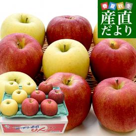 青森県より産地直送 JAつがる弘前 シナノスイート（5玉）＆シナノゴールド（4玉） CA貯蔵品 約3キロ 合計9玉 送料無料 りんごセット リンゴ 信濃スイート 信濃ゴールド 詰め合わせ 食べ比べ ギ
