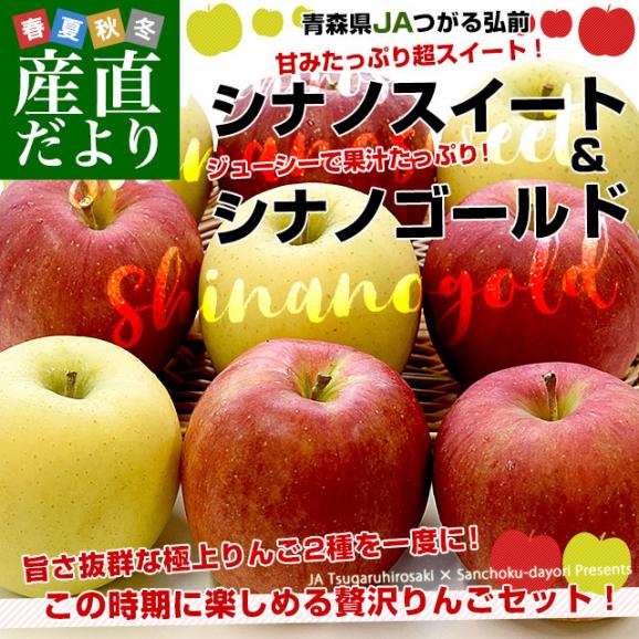 青森県より産地直送 JAつがる弘前 シナノスイート（5玉）＆シナノゴールド（4玉） CA貯蔵品 約3キロ 合計9玉 送料無料 りんごセット リンゴ 信濃スイート 信濃ゴールド 詰め合わせ 食べ比べ ギ02
