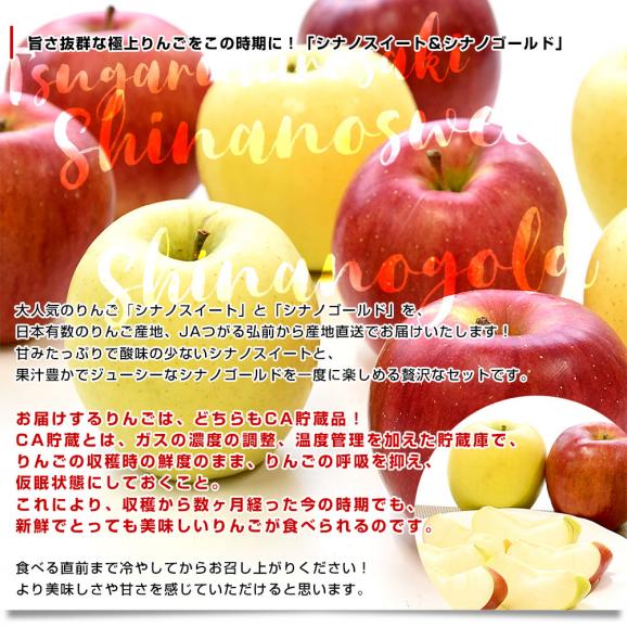 青森県より産地直送 JAつがる弘前 シナノスイート（5玉）＆シナノゴールド（4玉） CA貯蔵品 約3キロ 合計9玉 送料無料 りんごセット リンゴ 信濃スイート 信濃ゴールド 詰め合わせ 食べ比べ ギ04