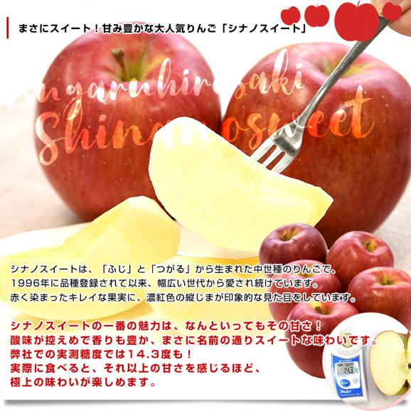 青森県より産地直送 JAつがる弘前 シナノスイート（5玉）＆シナノゴールド（4玉） CA貯蔵品 約3キロ 合計9玉 送料無料 りんごセット リンゴ 信濃スイート 信濃ゴールド 詰め合わせ 食べ比べ ギ05