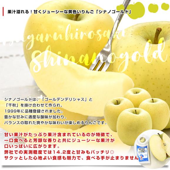 青森県より産地直送 JAつがる弘前 シナノスイート（5玉）＆シナノゴールド（4玉） CA貯蔵品 約3キロ 合計9玉 送料無料 りんごセット リンゴ 信濃スイート 信濃ゴールド 詰め合わせ 食べ比べ ギ06