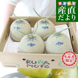 熊本県から産地直送　八協連　アールスメロン　超大玉8キロ原体箱（4玉入） 送料無料 マスクメロン メロン 春メロン