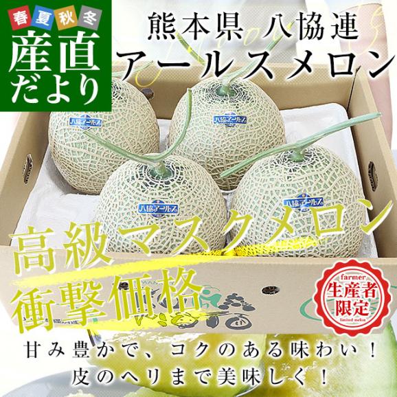 熊本県から産地直送　八協連　アールスメロン　超大玉8キロ原体箱（4玉入） 送料無料 マスクメロン メロン 春メロン02