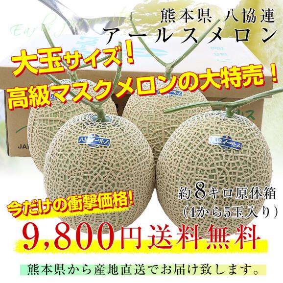 熊本県から産地直送 八協連 アールスメロン 大玉 約8キロ（4玉から5玉