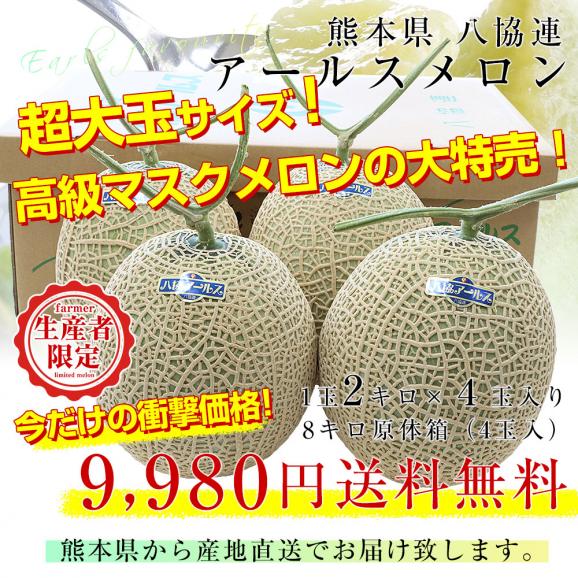 熊本県から産地直送　八協連　アールスメロン　超大玉8キロ原体箱（4玉入） 送料無料 マスクメロン メロン 春メロン03