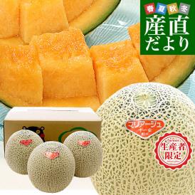 熊本県から産地直送 十一会組合 マリアージュメロン 秀品 大玉3Lから4Lサイズ 約5キロ（3玉から4玉）送料無料 赤肉メロン 春メロン めろん