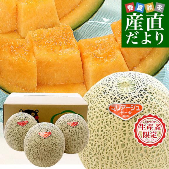 色々な 熊本県から産地直送 十一会組合 マリアージュメロン 秀品 大玉3L キーホルダー・アクリルキーホルダー