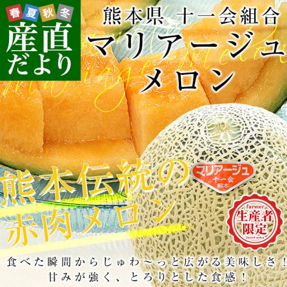 熊本県から産地直送 十一会組合 マリアージュメロン 秀品 大玉3Lから4Lサイズ 約5キロ（3玉から4玉）送料無料 赤肉メロン 春メロン めろん02